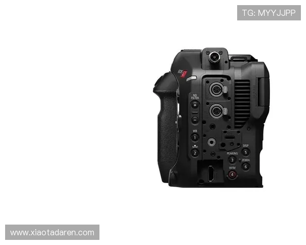 Z6尊龙在线登录入口详细操作流程及常见问题解答，助你顺利进入尊龙平台体验精彩游戏